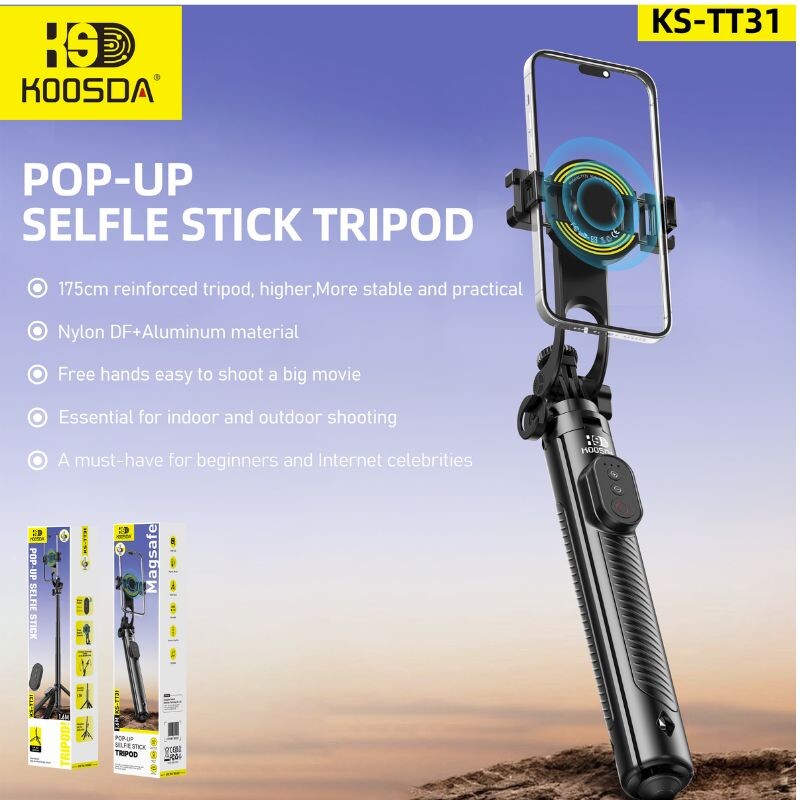 SEL-TT31