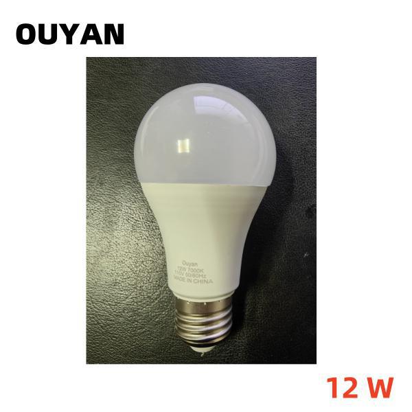 ZO-LED-12W
