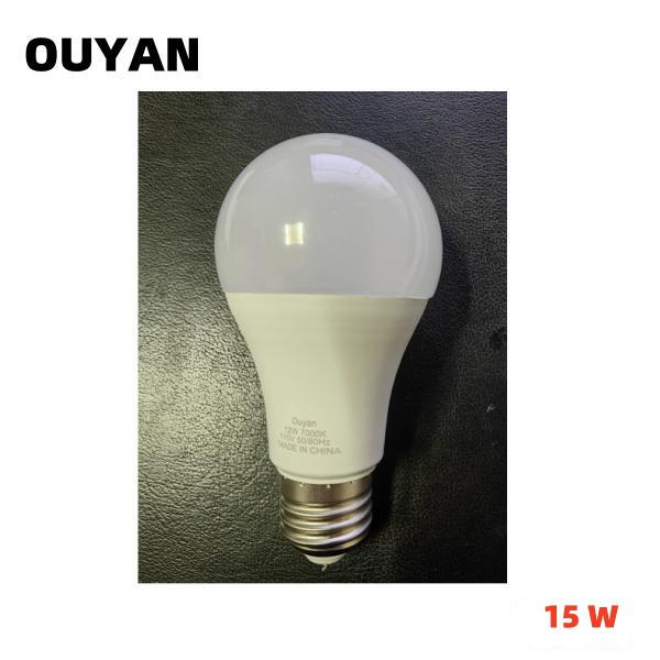 ZO-LED-15W